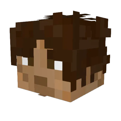 666LUCAS999 Minecraft avatar head, 3D render