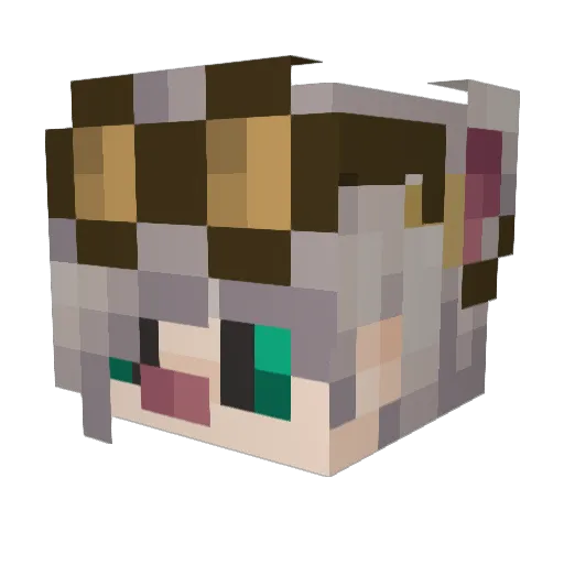 666MAEDAE Minecraft avatar head, 3D render