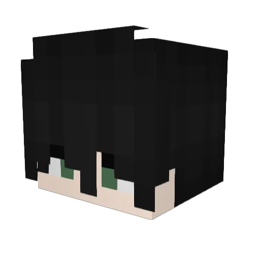 666Plsa Minecraft avatar head, 3D render