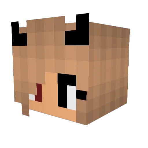 666_ReSPecT_666 Minecraft avatar head, 3D render