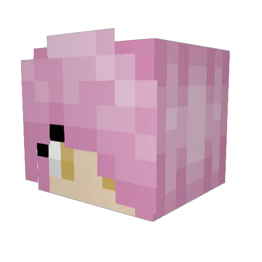 666iCor Minecraft avatar head, 3D render