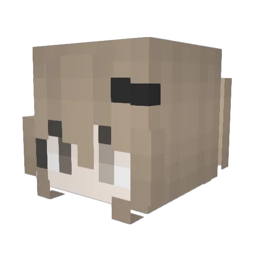 666johana Minecraft avatar head, 3D render