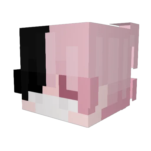 666kittn Minecraft avatar head, 3D render