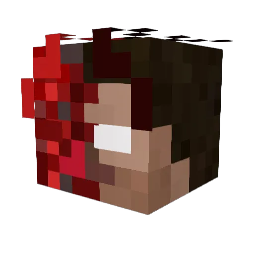 666wanted666 Minecraft avatar head, 3D render