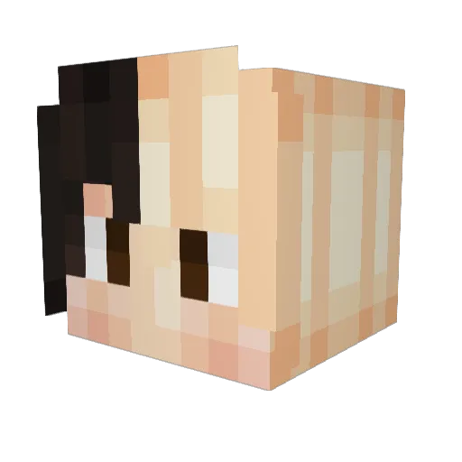 6671 Minecraft avatar head, 3D render
