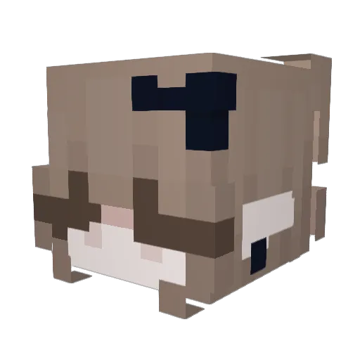66776677 Minecraft avatar head, 3D render