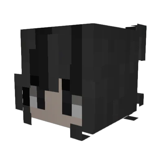 66C6 Minecraft avatar head, 3D render