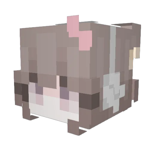 66wdo Minecraft avatar head, 3D render