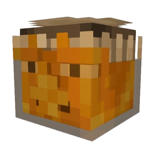 67SkibidRizz67 Minecraft avatar head, 3D render