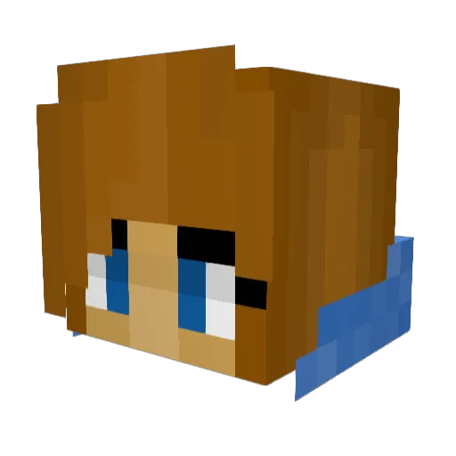 67coolkid123 Minecraft avatar head, 3D render