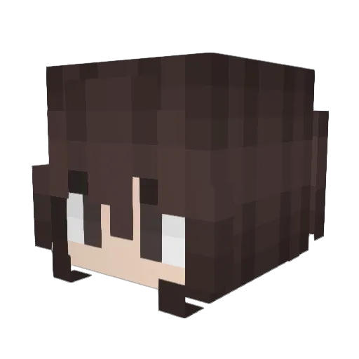 67sicksevan Minecraft avatar head, 3D render