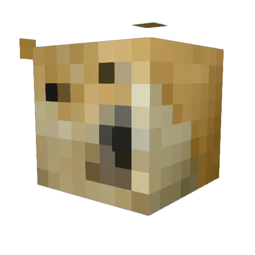 67skibidibaka Minecraft avatar head, 3D render