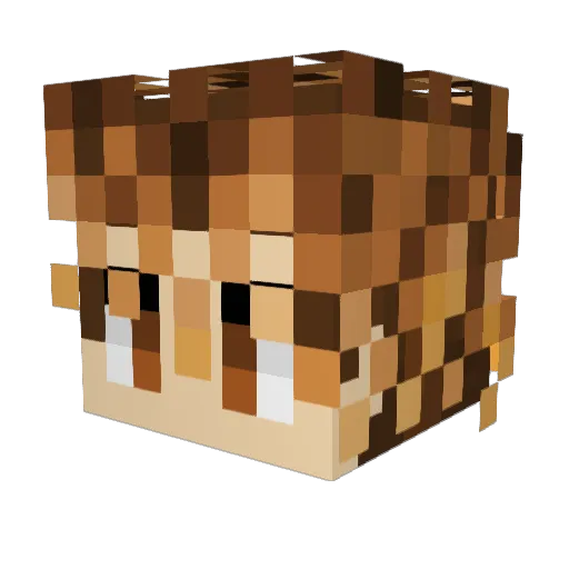 690iq Minecraft avatar head, 3D render