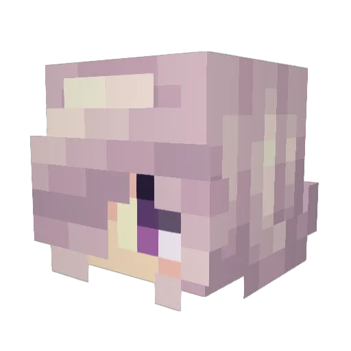 69420Champ Minecraft avatar head, 3D render
