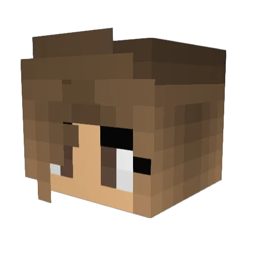 6997 Minecraft avatar head, 3D render