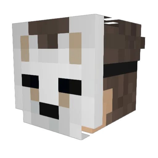 69Brandini69 Minecraft avatar head, 3D render