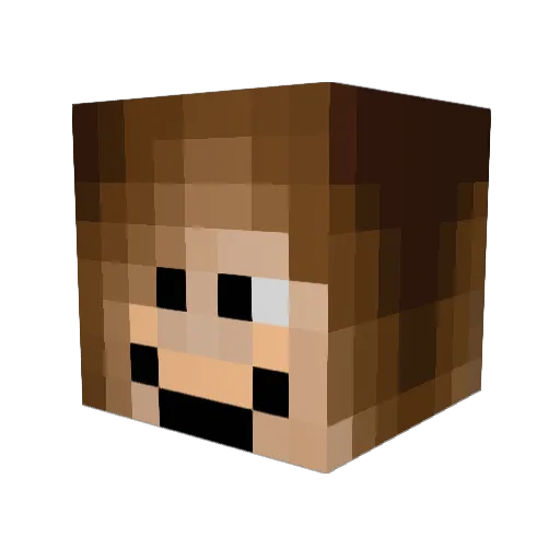 69Communism69 Minecraft avatar head, 3D render