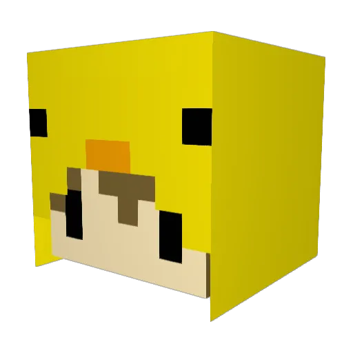 69Ducky69 Minecraft avatar head, 3D render
