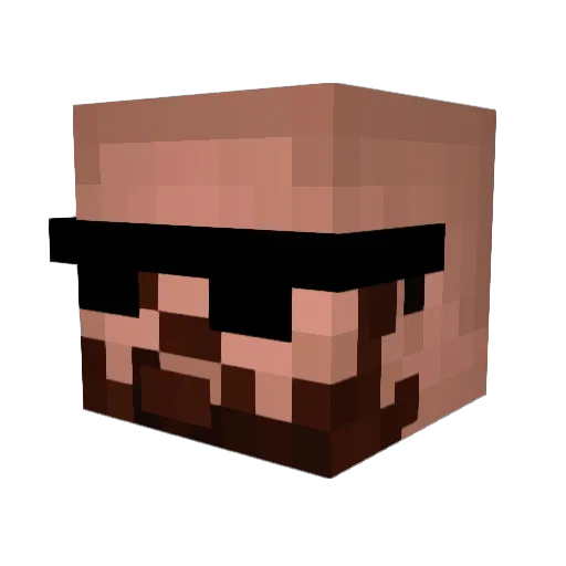 69Mclovin420 Minecraft avatar head, 3D render