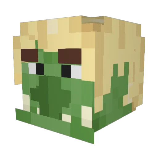 69PoopBender69 Minecraft avatar head, 3D render