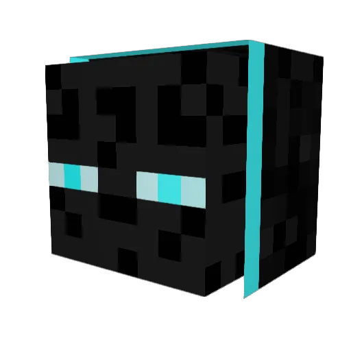 69Poopy69poopy69 Minecraft avatar head, 3D render