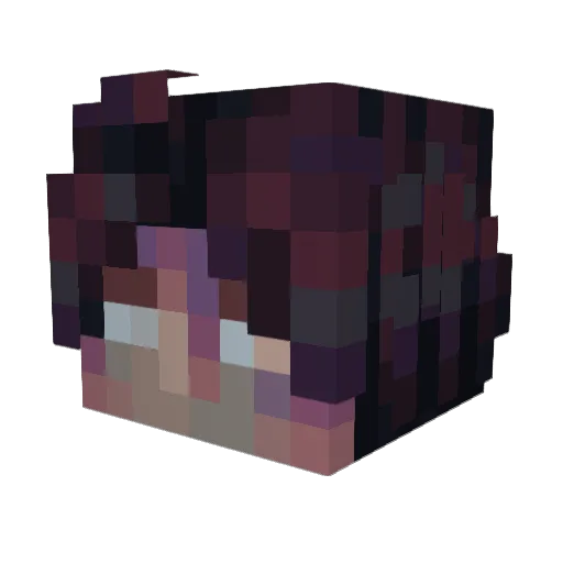 69RayanB69 Minecraft avatar head, 3D render