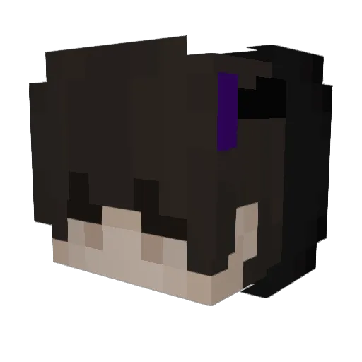 69ShadesOfPing Minecraft avatar head, 3D render