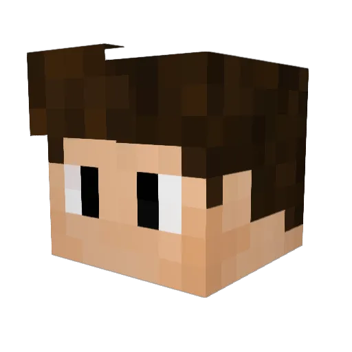 69Solo Minecraft avatar head, 3D render