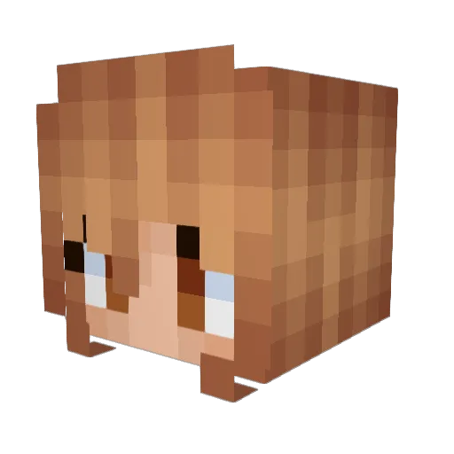 69dumber Minecraft avatar head, 3D render