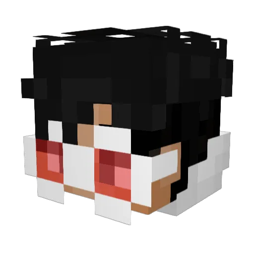 69lilfeet Minecraft avatar head, 3D render