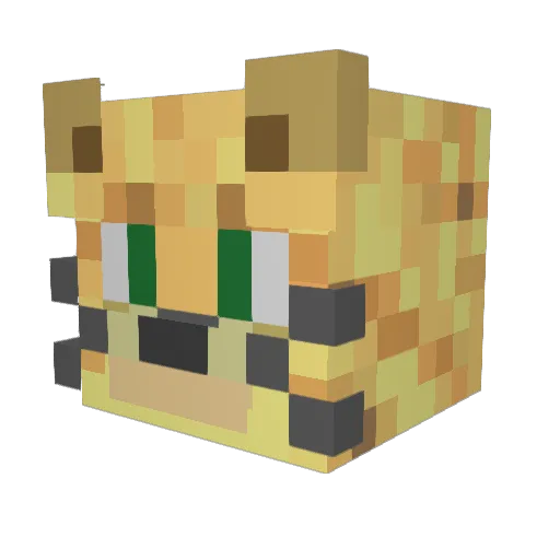 69th_cat Minecraft avatar head, 3D render