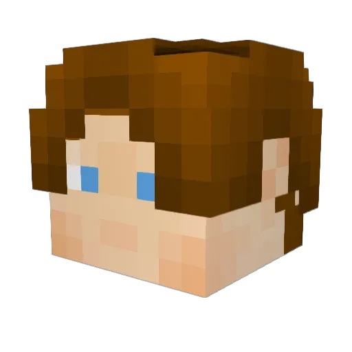 6AME0VER Minecraft avatar head, 3D render