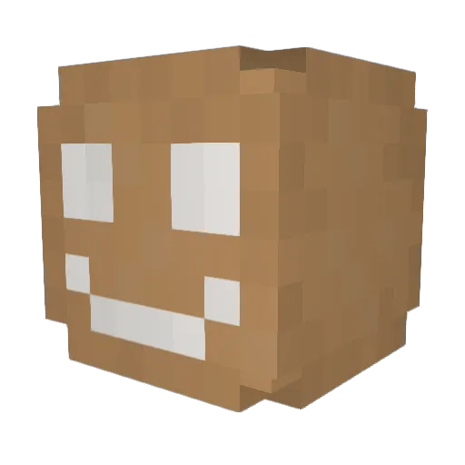 6CKS9 Minecraft avatar head, 3D render