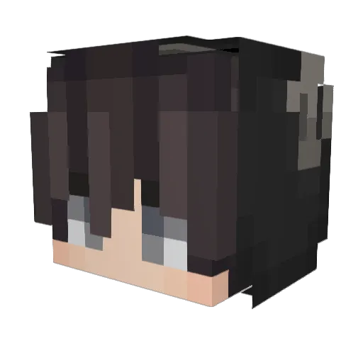 6FRH Minecraft avatar head, 3D render