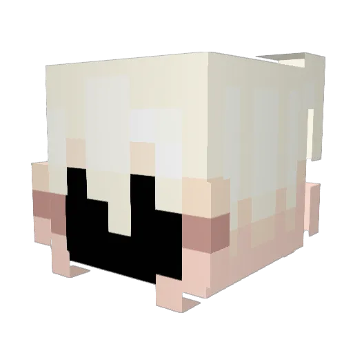 6Falsa Minecraft avatar head, 3D render