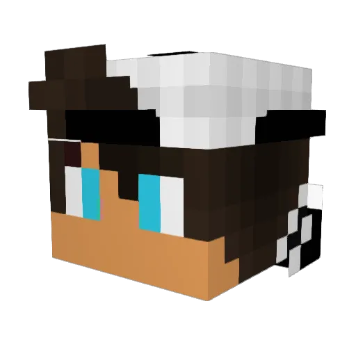 6HlogBungus Minecraft avatar head, 3D render