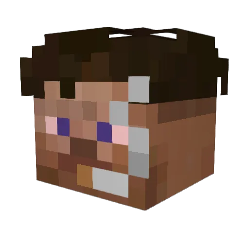 6Juqn9 Minecraft avatar head, 3D render