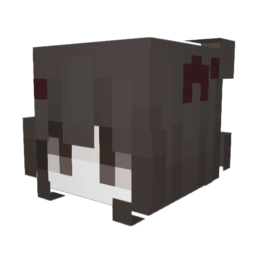 6Kye Minecraft avatar head, 3D render