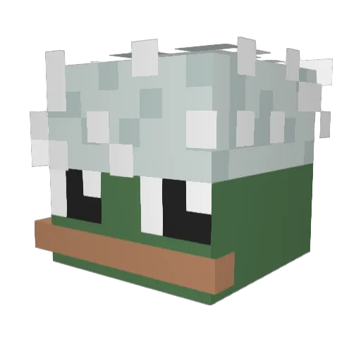 6MillionCats Minecraft avatar head, 3D render