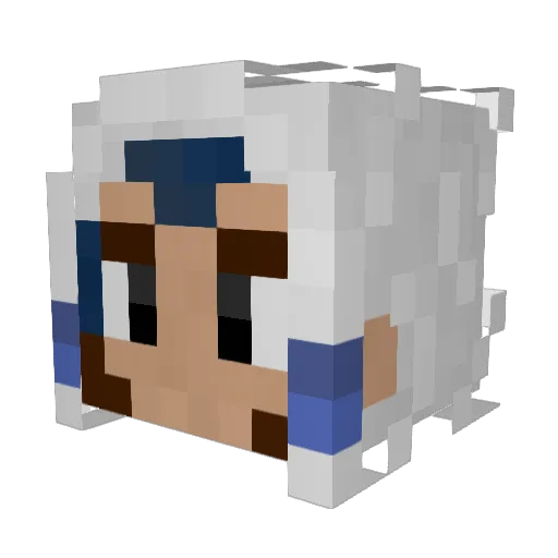 6NB6 Minecraft avatar head, 3D render