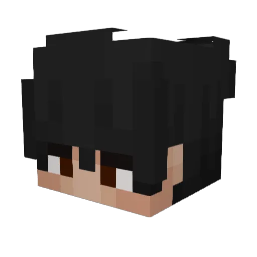 6Oer Minecraft avatar head, 3D render