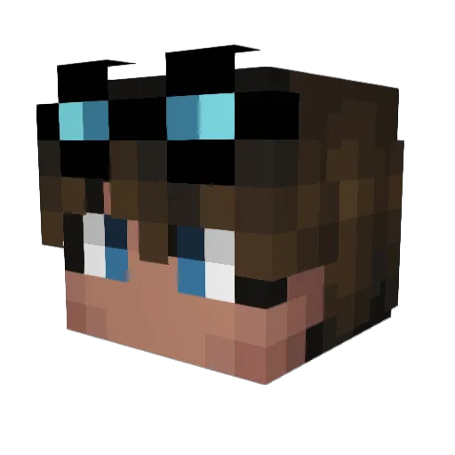 6Pain9 Minecraft avatar head, 3D render
