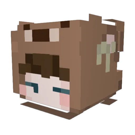 6ROSE_MARRY Minecraft avatar head, 3D render