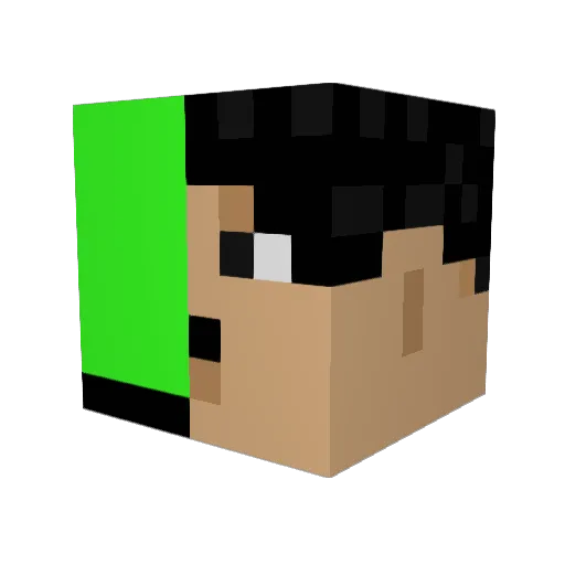 6Ranbu9 Minecraft avatar head, 3D render
