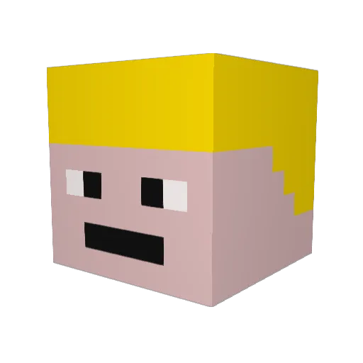 6SIM Minecraft avatar head, 3D render