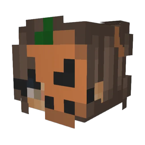 6Selina Minecraft avatar head, 3D render