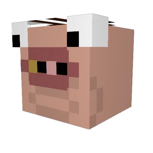 6Walfa9 Minecraft avatar head, 3D render