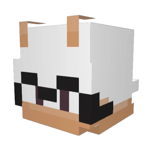 6ZC Minecraft avatar head, 3D render