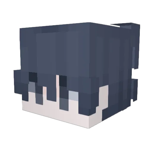 6_07 Minecraft avatar head, 3D render