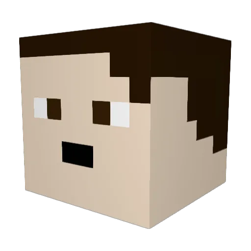 6_Adience_9 Minecraft avatar head, 3D render
